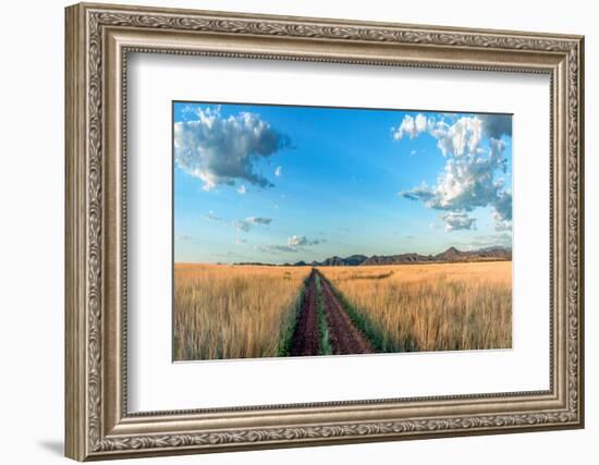 Country Road Panorama-Murray Bolesta-Framed Photographic Print