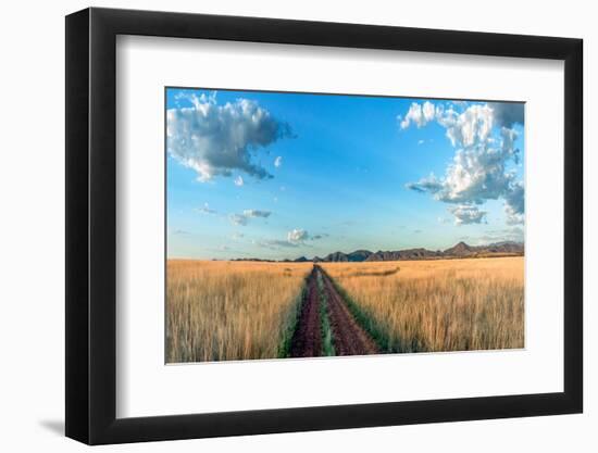 Country Road Panorama-Murray Bolesta-Framed Photographic Print