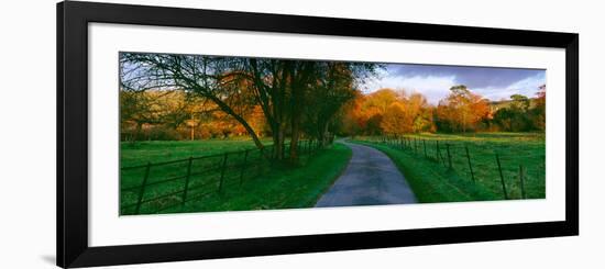 Country Road Passing Through a Field, Dorset, England-null-Framed Photographic Print