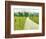 Country Road Photo I-James McLoughlin-Framed Photographic Print