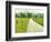 Country Road Photo I-James McLoughlin-Framed Photographic Print