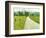 Country Road Photo I-James McLoughlin-Framed Photographic Print