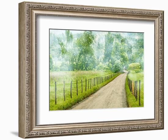 Country Road Photo II-James McLoughlin-Framed Photographic Print