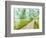 Country Road Photo II-James McLoughlin-Framed Photographic Print