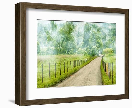 Country Road Photo II-James McLoughlin-Framed Photographic Print