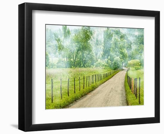 Country Road Photo II-James McLoughlin-Framed Photographic Print