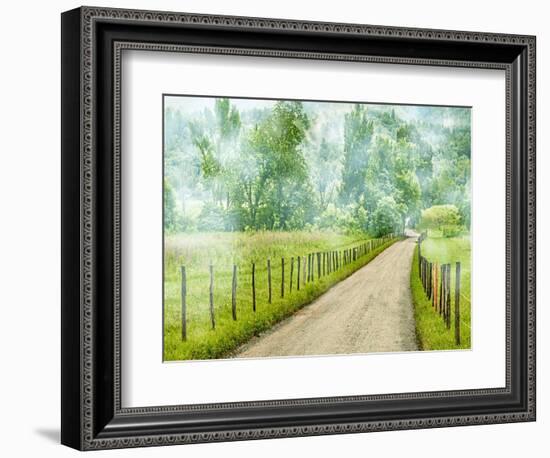 Country Road Photo II-James McLoughlin-Framed Photographic Print