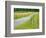 Country Road Photo III-James McLoughlin-Framed Photographic Print