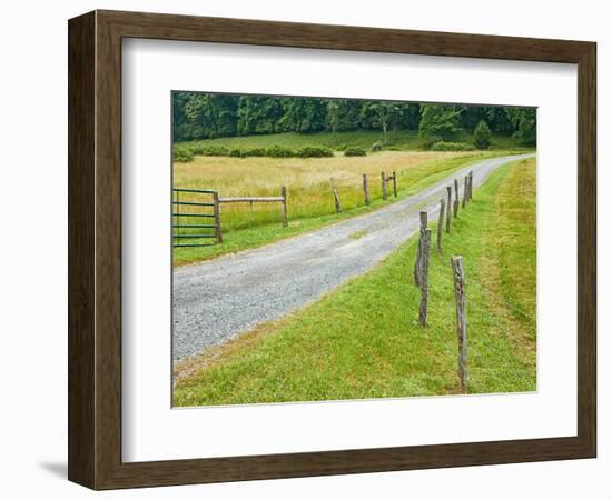 Country Road Photo III-James McLoughlin-Framed Photographic Print