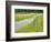 Country Road Photo III-James McLoughlin-Framed Photographic Print