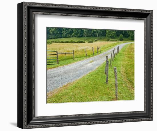 Country Road Photo III-James McLoughlin-Framed Photographic Print