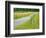 Country Road Photo III-James McLoughlin-Framed Photographic Print