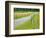 Country Road Photo III-James McLoughlin-Framed Photographic Print