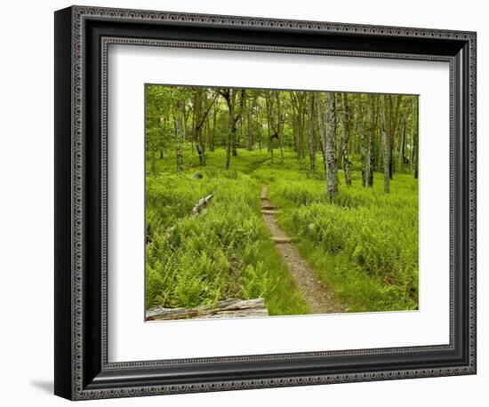 Country Road Photo V-James McLoughlin-Framed Photographic Print