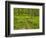 Country Road Photo V-James McLoughlin-Framed Photographic Print