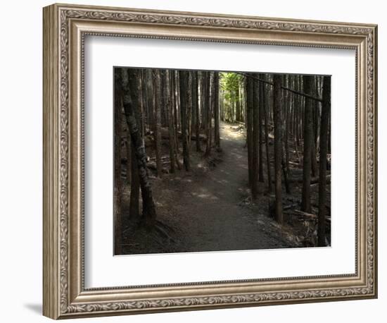 Country Road Photo VI-James McLoughlin-Framed Photographic Print