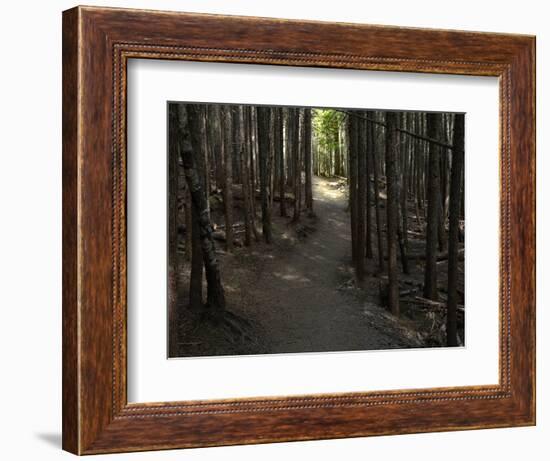 Country Road Photo VI-James McLoughlin-Framed Photographic Print