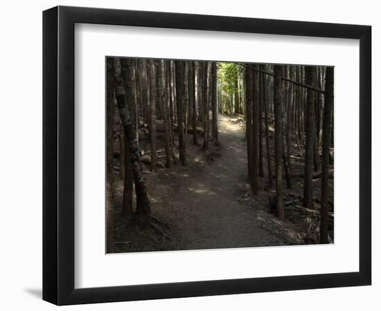 Country Road Photo VI-James McLoughlin-Framed Photographic Print