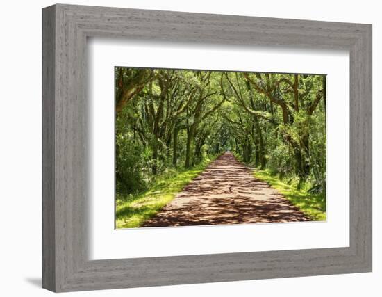 Country Road Photo VII-James McLoughlin-Framed Photographic Print