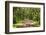 Country Road Photo VII-James McLoughlin-Framed Photographic Print