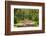 Country Road Photo VII-James McLoughlin-Framed Photographic Print