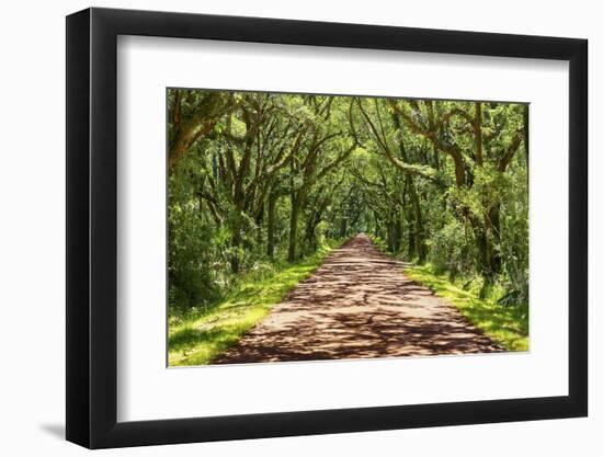 Country Road Photo VII-James McLoughlin-Framed Photographic Print