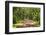 Country Road Photo VII-James McLoughlin-Framed Photographic Print