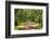 Country Road Photo VII-James McLoughlin-Framed Photographic Print