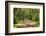 Country Road Photo VII-James McLoughlin-Framed Photographic Print