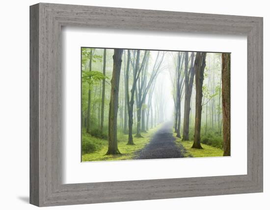 Country Road Photo VIII-James McLoughlin-Framed Photographic Print