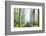 Country Road Photo VIII-James McLoughlin-Framed Photographic Print