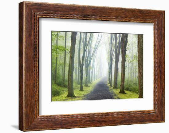 Country Road Photo VIII-James McLoughlin-Framed Photographic Print