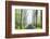 Country Road Photo VIII-James McLoughlin-Framed Photographic Print