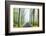 Country Road Photo VIII-James McLoughlin-Framed Photographic Print