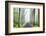 Country Road Photo VIII-James McLoughlin-Framed Photographic Print