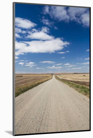 Country Road, Strasburg, North Dakota, USA-Walter Bibikow-Mounted Photographic Print