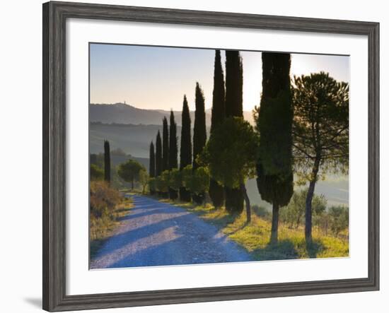 Country Road Towards Pienza, Val D' Orcia, Tuscany, Italy-Doug Pearson-Framed Photographic Print