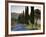 Country Road Towards Pienza, Val D' Orcia, Tuscany, Italy-Doug Pearson-Framed Photographic Print