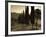 Country Road Towards Pienza, Val D' Orcia, Tuscany, Italy-Doug Pearson-Framed Photographic Print