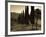 Country Road Towards Pienza, Val D' Orcia, Tuscany, Italy-Doug Pearson-Framed Photographic Print