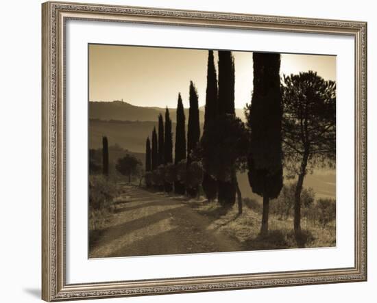 Country Road Towards Pienza, Val D' Orcia, Tuscany, Italy-Doug Pearson-Framed Photographic Print