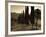 Country Road Towards Pienza, Val D' Orcia, Tuscany, Italy-Doug Pearson-Framed Photographic Print