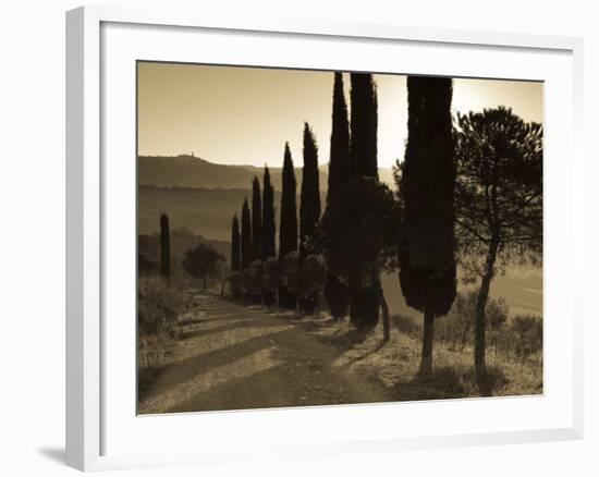 Country Road Towards Pienza, Val D' Orcia, Tuscany, Italy-Doug Pearson-Framed Photographic Print