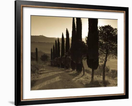 Country Road Towards Pienza, Val D' Orcia, Tuscany, Italy-Doug Pearson-Framed Photographic Print