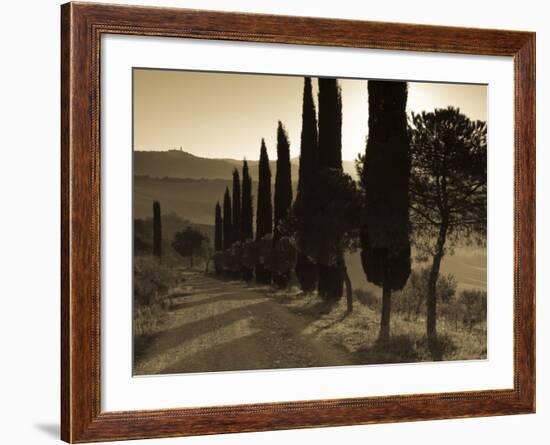 Country Road Towards Pienza, Val D' Orcia, Tuscany, Italy-Doug Pearson-Framed Photographic Print