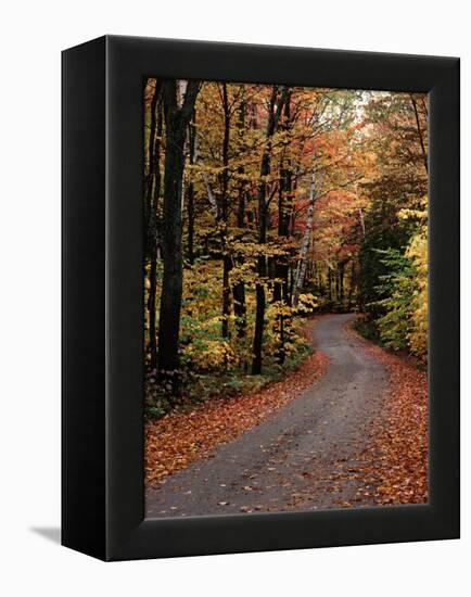 Country Road, Vermont, USA-Charles Sleicher-Framed Premier Image Canvas