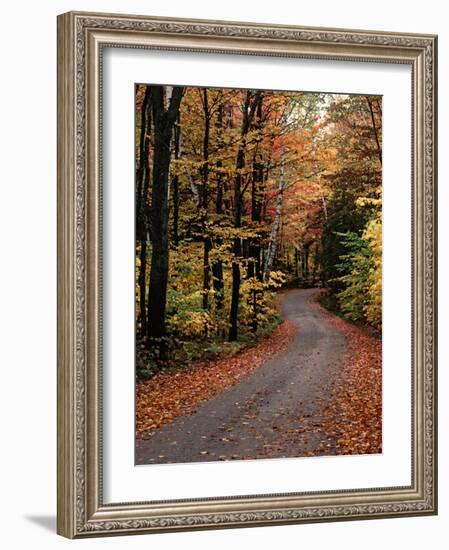 Country Road, Vermont, USA-Charles Sleicher-Framed Photographic Print