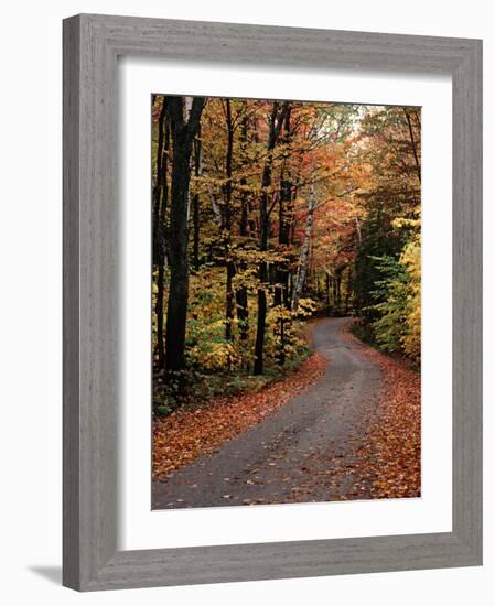 Country Road, Vermont, USA-Charles Sleicher-Framed Photographic Print