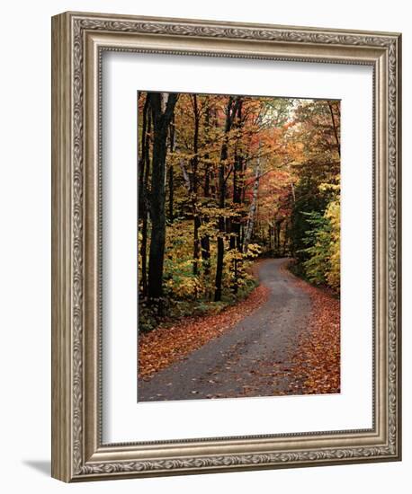 Country Road, Vermont, USA-Charles Sleicher-Framed Photographic Print