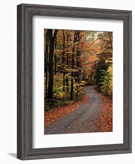 Country Road, Vermont, USA-Charles Sleicher-Framed Photographic Print